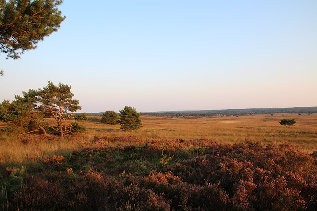 vakantie op de Veluwe