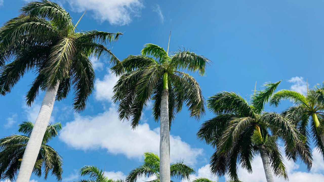 Bezienswaardigheden Aruba