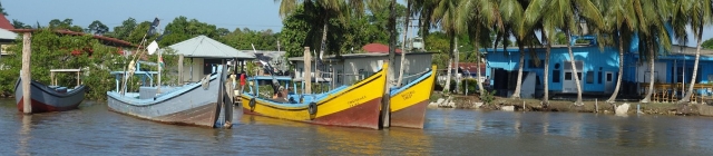 Vakantie Suriname: tropische cultuurtrip