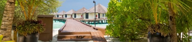 De ultieme vakantie beleef je op de Malediven