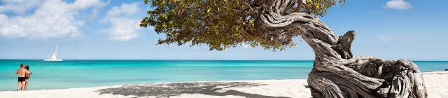 Goedkoop vakantie vieren op Caraïbisch Aruba!