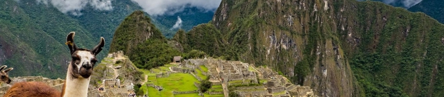 Vakantie Peru: lama doen dan