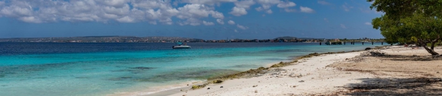 Op vakantie naar Bonaire?