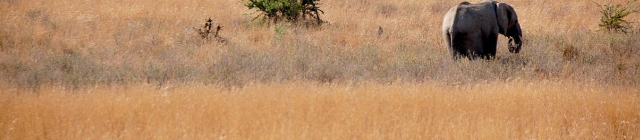 Een vakantie naar Tanzania