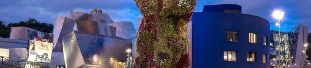 Stedentrip Bilbao in de winter